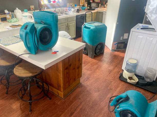 Best 24-hour water damage restoration  in Gallatin, TN