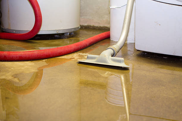 Best Professional water damage repair  in Gallatin, TN