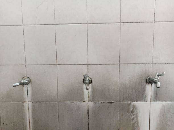 Best Flooded house restoration  in Gallatin, TN