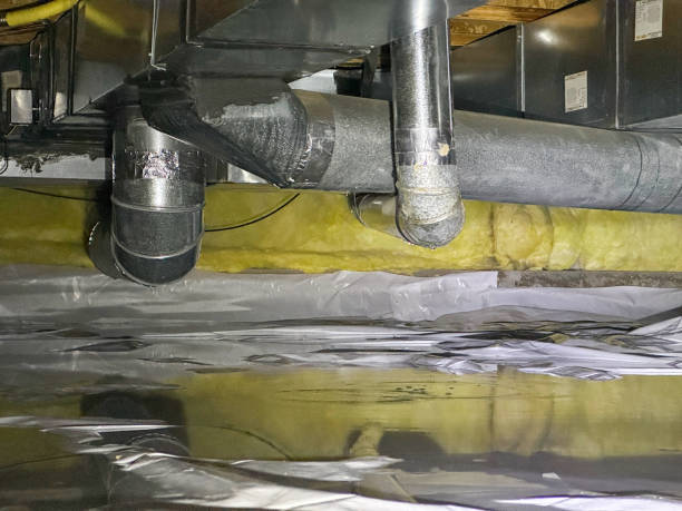 Best Ceiling water damage repair  in Gallatin, TN