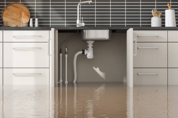 Best Emergency water damage restoration  in Gallatin, TN