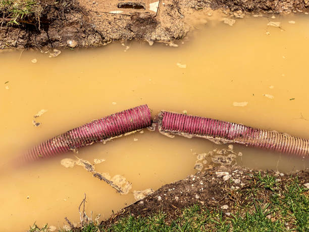 Best Water damage contractors near me  in Gallatin, TN