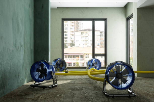 Best Sewage cleanup and water damage restoration  in Gallatin, TN